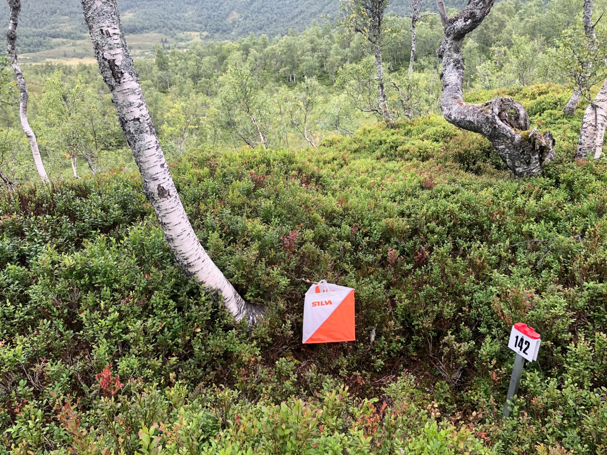 Nærløp onsdag 26. juni